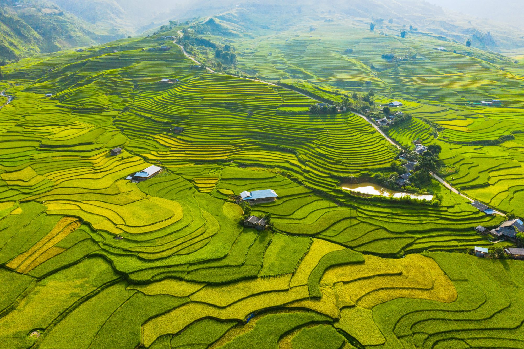 Northern Mountains & Rice Terraces