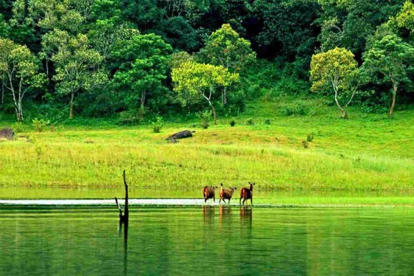 thekkady3_by_gowithipr_dcjcaap-fullview